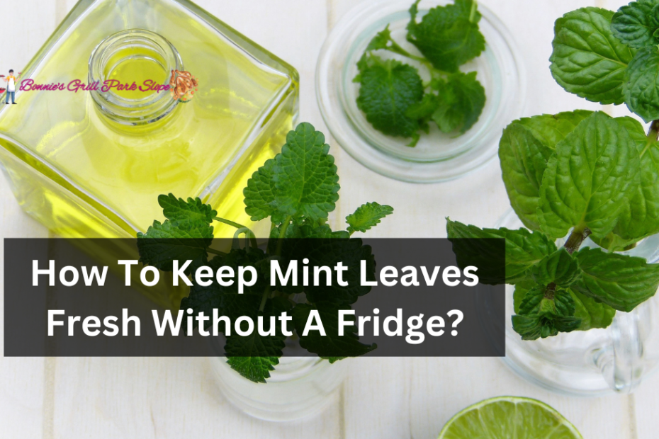 How To Keep Mint Leaves Fresh Without A Fridge?